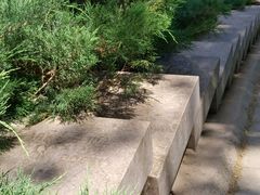 -北京麋鹿生态实验中心