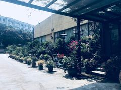 -沙龙酒家