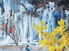 -少华山国家森林公园