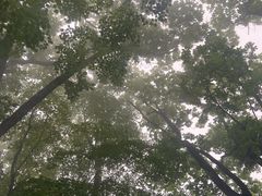 -九鼎铁刹山风景区