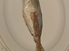 -MR鹅外