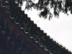 -玉泉观