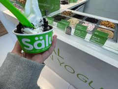 -Salud撒露欧洲冻酸奶(蓝色港湾店)