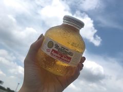 美国苹果汁-蚝专家(北滘店)