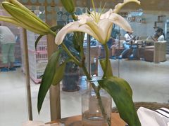 -藏猫猫咖啡主题馆(中央大道店)