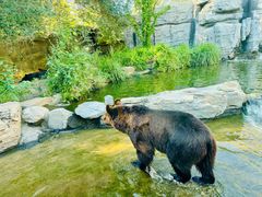 -北京野生动物园