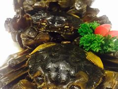 -新光酒家·河豚·海鲜·蟹料理(浦东店)