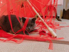 -第三空间·趣味桌游·轰趴.室内CS.剧本杀(大武汉1911店)