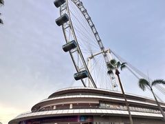 -新加坡摩天观景轮
