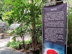 -鱼凫人家