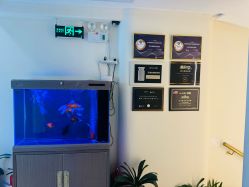 -海涛医疗美容·面部抗衰·注射美鼻