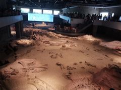 -自贡恐龙博物馆