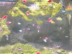 -苏州海洋馆