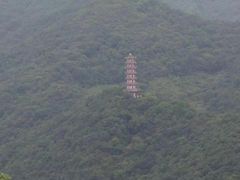 -黄贤森林公园