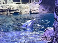 -郑州海洋馆