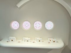 -喜茶(迪士尼小镇DP店)