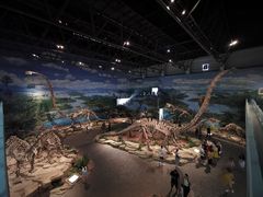 -自贡恐龙博物馆