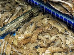 -鲜得莱渔港·小平岛海胆馆(七贤岭店)