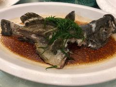 -外沙疍家棚酒楼