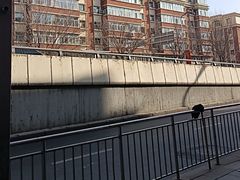 -海尔巴格一甸茶餐厅(团结路店)
