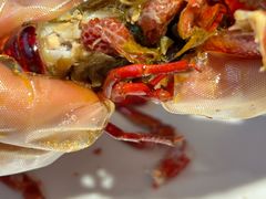 -杨氏青龙虾·羊蝎子(金盛路总店)