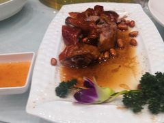 -鹅城
