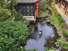 -北园酒家(小北路店)