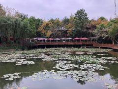 -巴山一绝烤全羊(三圣乡刘家花园店)