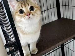 -宠颐生中康贝怡动物医院