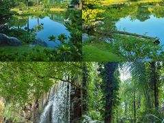 -华南国家植物园-售票处