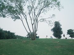 -深圳人才公园