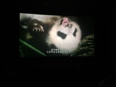 -天幕新彩云国际影城(激光巨幕店)