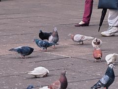 -哈尔滨犹太人活动旧址群(秋林洋行道里分行旧址)