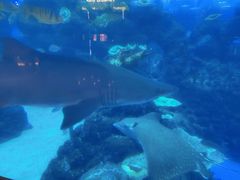 -成都浩海立方海洋公园