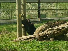 -新疆天山野生动物园