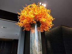 -当米亚诺意大利餐厅(武汉光谷凯悦酒店)