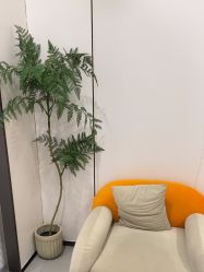 -壹加壹医疗美容·轻医美·美容外科