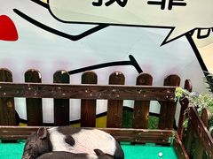 -丽达购物中心(崂山店)
