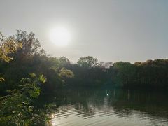 -昆山城市生态森林公园