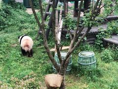 -无锡动物园·太湖欢乐园