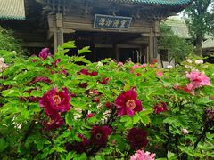 -窦大夫祠