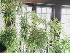 -洞庭土菜馆(天河北总店)