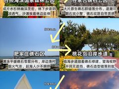 -日照海滨国家森林公园