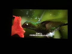 -南宁时代电影大世界(CGS激光中国巨幕)