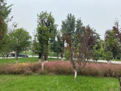 -汉长安城未央宫国家考古遗址公园