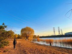 -永定河休闲森林公园