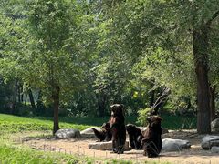 -北京野生动物园