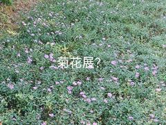 -燕郊植物园