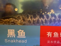 -三江源活鱼现烤(维多利摩尔城店)