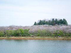 -凤凰沟景区